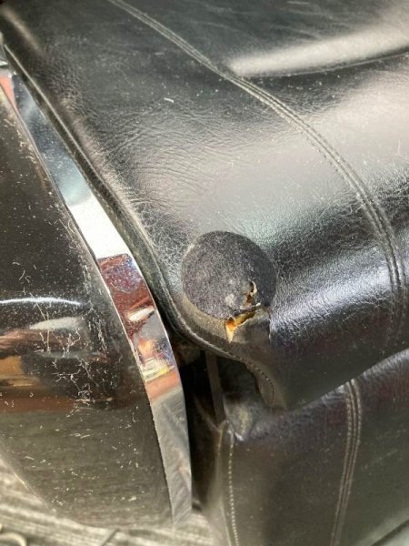 画像11: 【再生費込み】タカラ  プロスタッフ879MN (11)