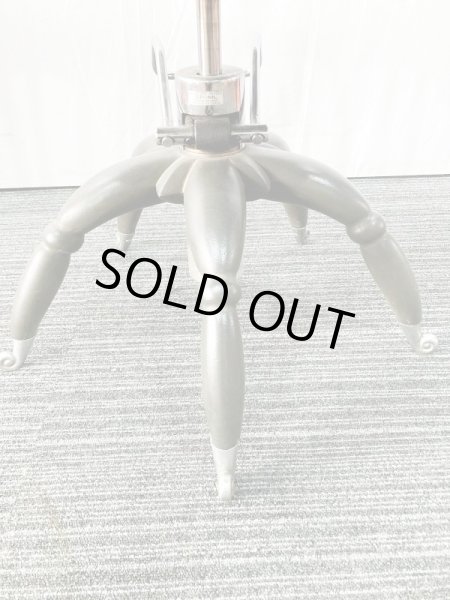 画像10: タカラ　マレティアス (10)