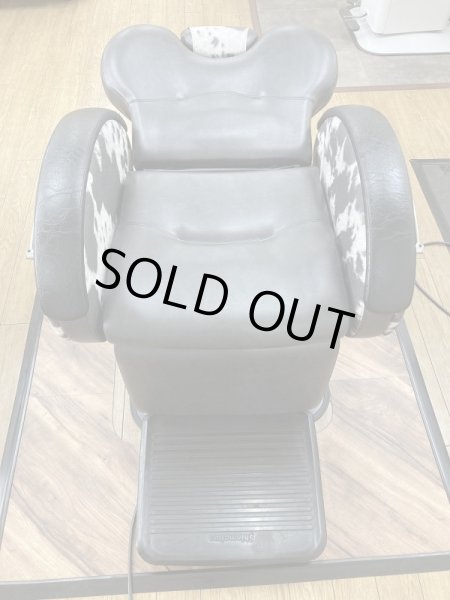 画像6: 値下げしました！【再生済み】新明和　カプリ（展示機） (6)