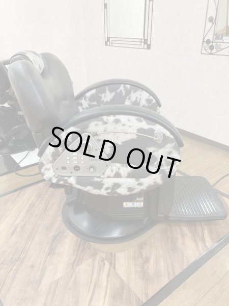 画像4: 値下げしました！【再生済み】新明和　カプリ（展示機） (4)