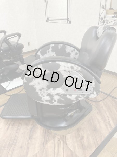 画像3: 値下げしました！【再生済み】新明和　カプリ（展示機） (3)