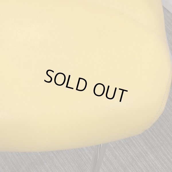 画像13: 【中古現状品】オオヒロ リドファンシー【張替可能】 (13)