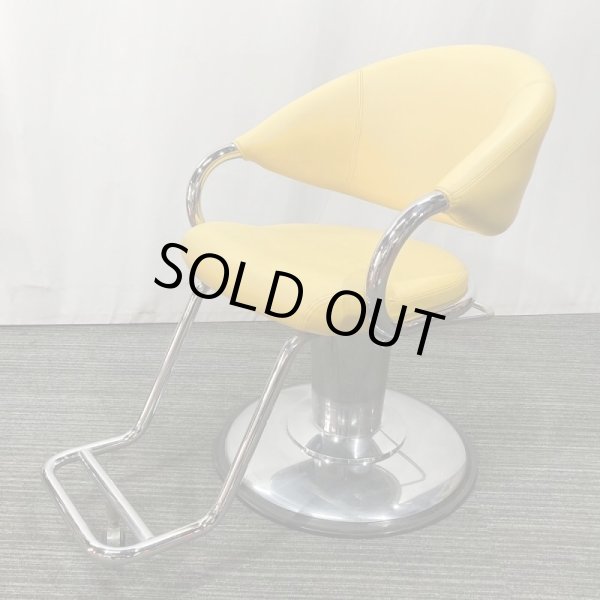 画像1: 【中古現状品】オオヒロ　リドファンシー【張替可能】 (1)