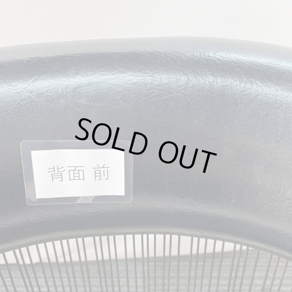 画像8: タカラ　ハナ (8)