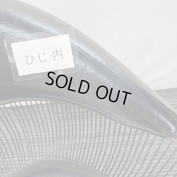 画像10: タカラ　ハナ (10)