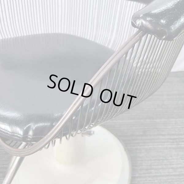 画像12: タカラ　ハナ (12)