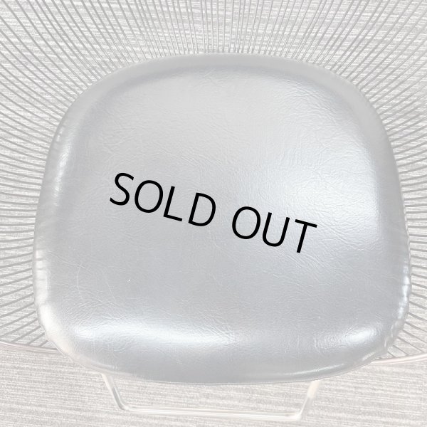 画像6: タカラ　ハナ (6)