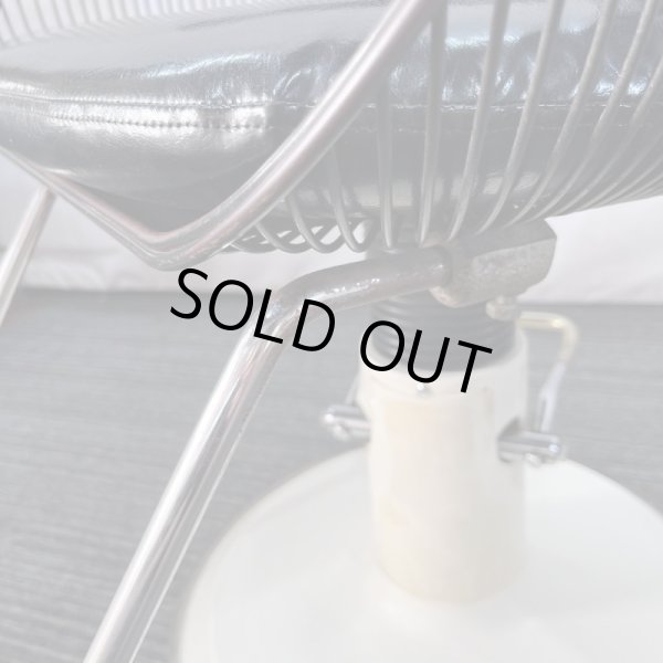 画像15: タカラ　ハナ (15)