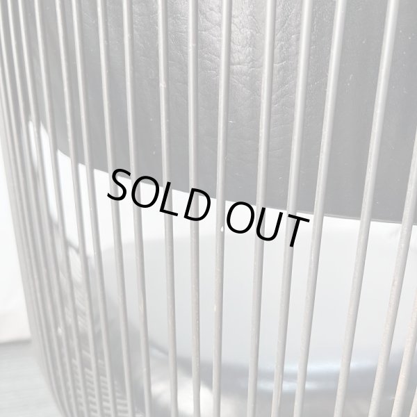 画像18: タカラ　ハナ (18)