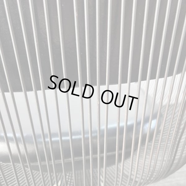 画像16: タカラ　ハナ (16)