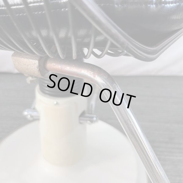 画像14: タカラ　ハナ (14)