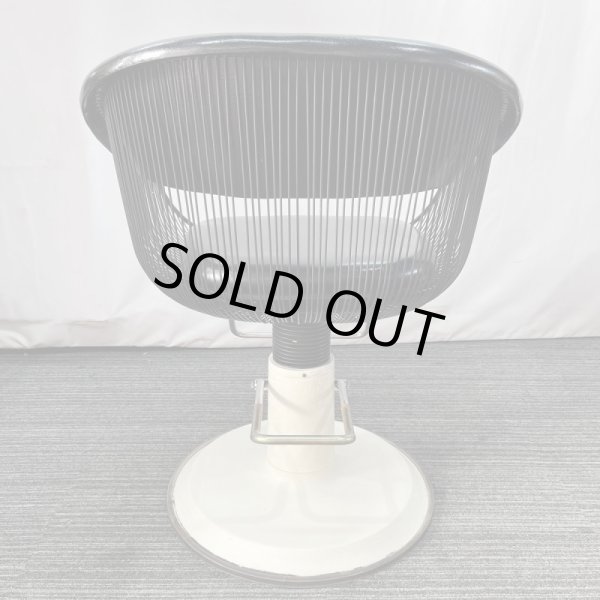 画像5: タカラ　ハナ (5)