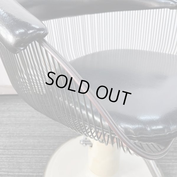 画像13: タカラ　ハナ (13)