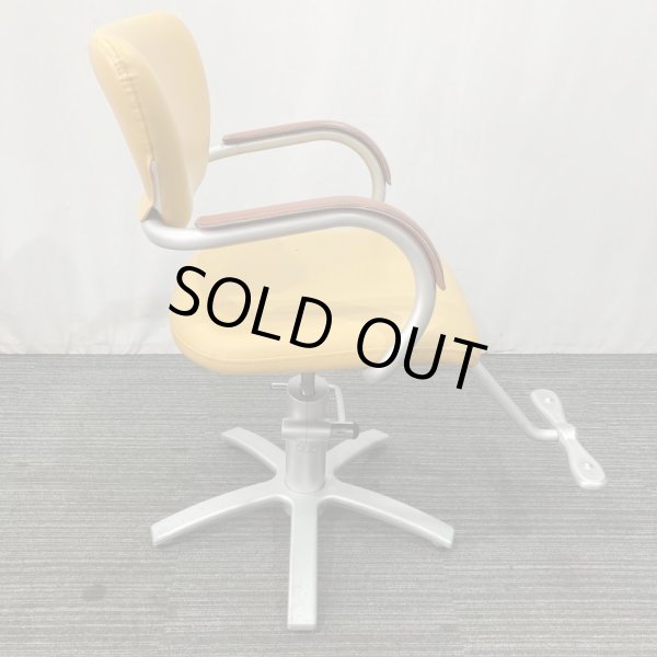 画像5: 【中古現状品】タカラ　アプリーレ【張替可能】 (5)