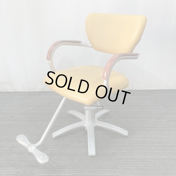 画像1: 【中古現状品】タカラ　アプリーレ【張替可能】 (1)