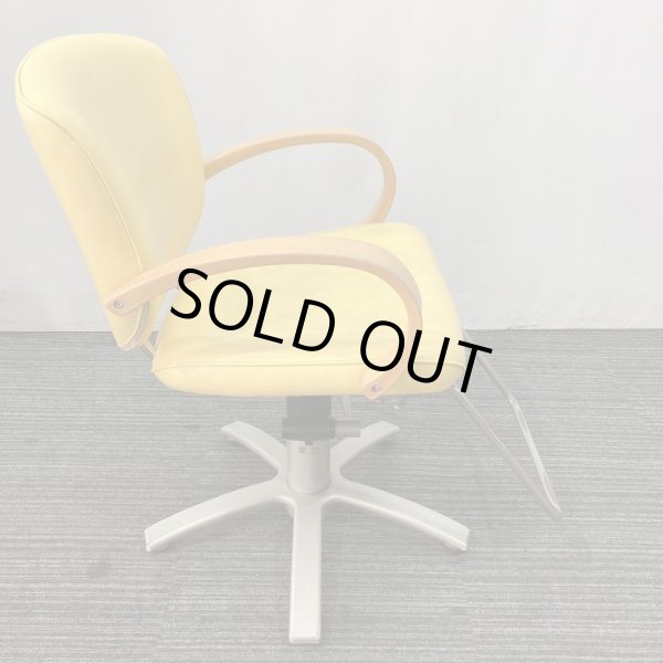 画像3: 【中古現状品】タカラ　MIO(ミオ)【張替可能】 (3)