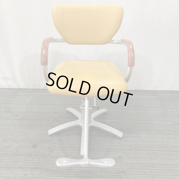 画像2: 【中古現状品】タカラ　アプリーレ【張替可能】 (2)