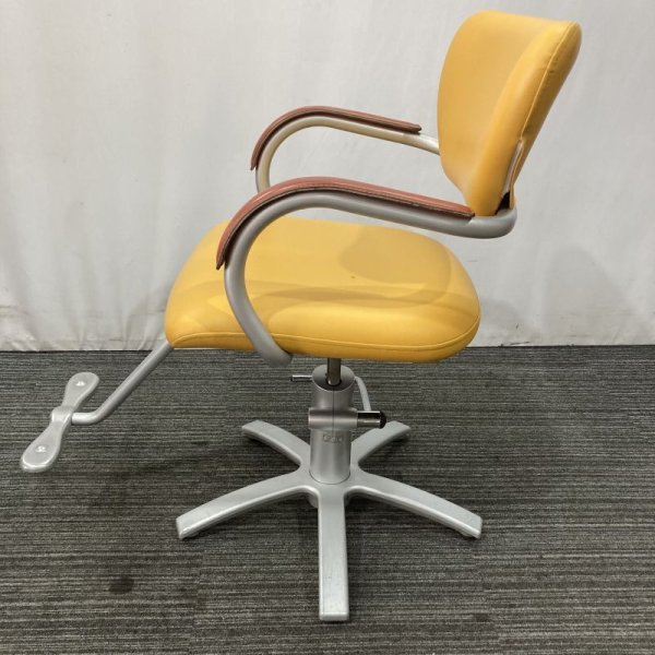 画像3: 【中古現状品】タカラ アプリーレ【張替可能】 (3)