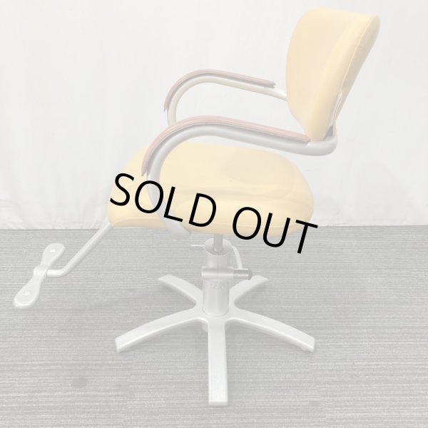 画像3: 【中古現状品】タカラ　アプリーレ【張替可能】 (3)