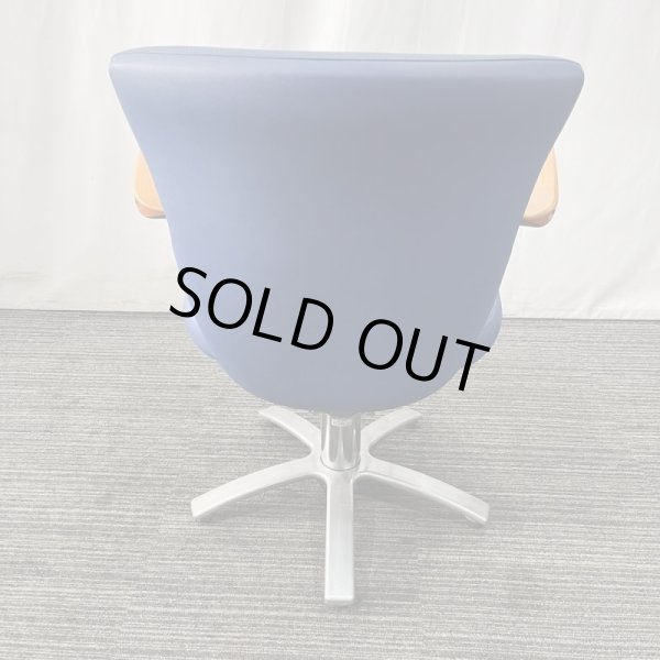 画像4: 【中古現状品】タカラ　リウ【張替可能】 (4)