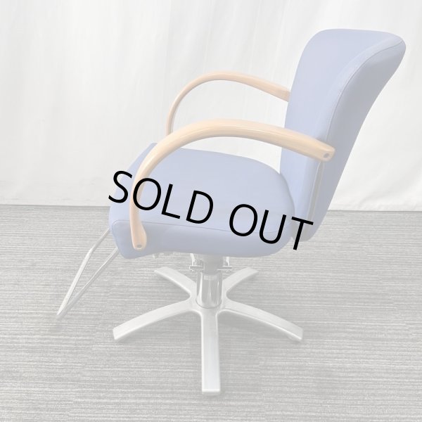 画像5: 【中古現状品】タカラ　リウ【張替可能】 (5)