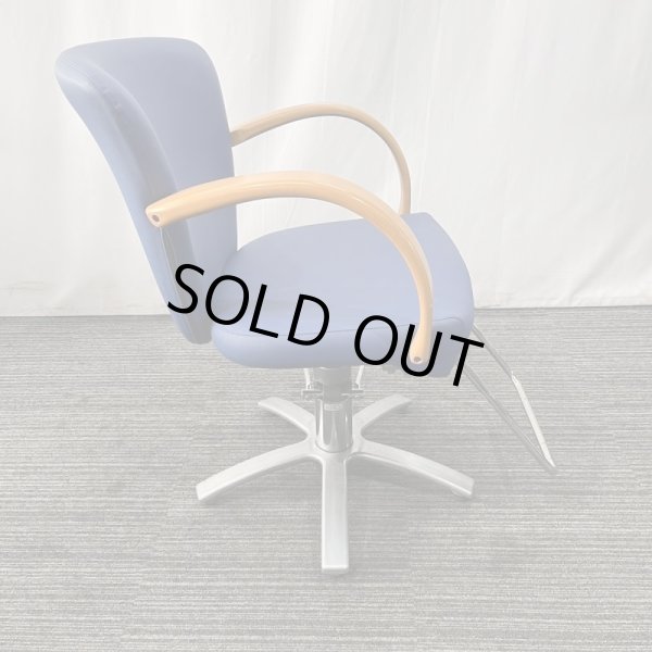 画像3: 【中古現状品】タカラ　リウ【張替可能】 (3)