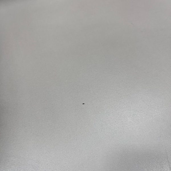 画像15: 【中古現状品】タカラ　アプリーレ【張替可能】 (15)