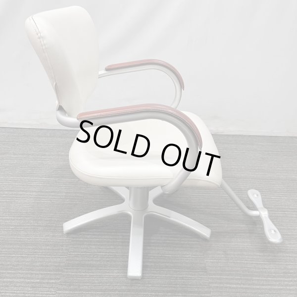 画像3: 【中古現状品】タカラ　アプリーレ【張替可能】 (3)