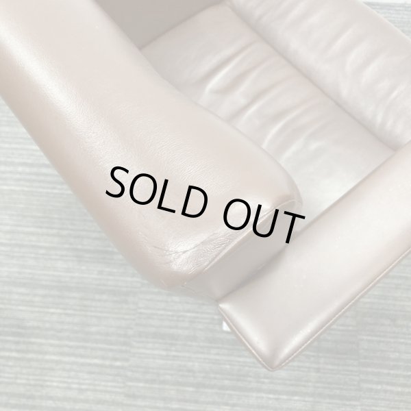 画像19: 【中古現状品】オオヒロ レオン【張替可能】  (19)