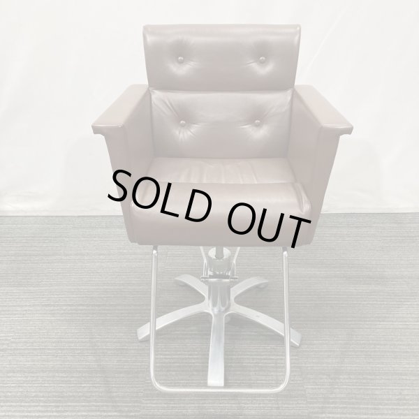 画像3: 【中古現状品】オオヒロ レオン【張替可能】  (3)