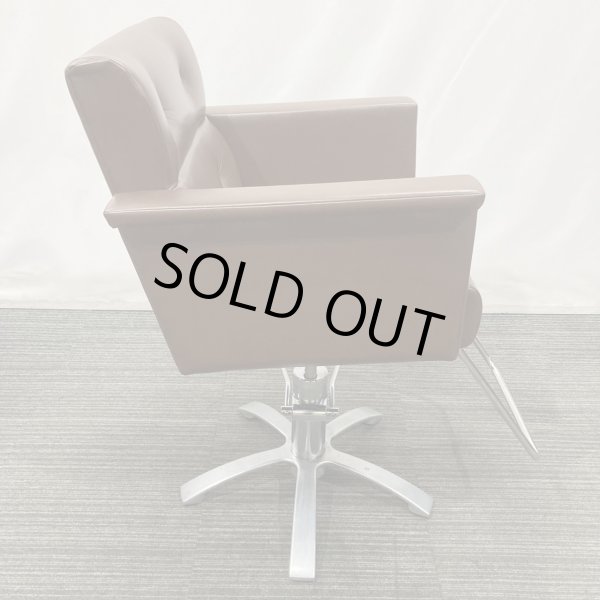 画像5: 【中古現状品】オオヒロ レオン【張替可能】  (5)