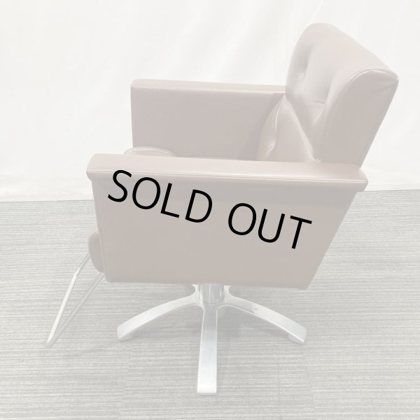 画像7: 【中古現状品】オオヒロ レオン【張替可能】  (7)