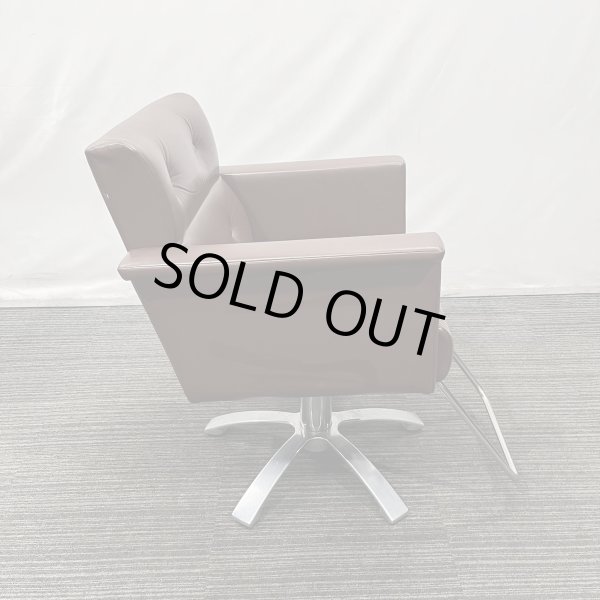 画像10: 【中古現状品】オオヒロ レオン【張替可能】  (10)