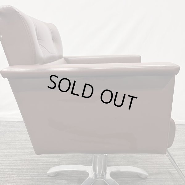 画像19: 【中古現状品】オオヒロ レオン【張替可能】  (19)