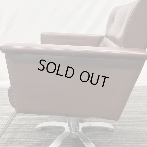 画像22: 【中古現状品】オオヒロ レオン【張替可能】  (22)