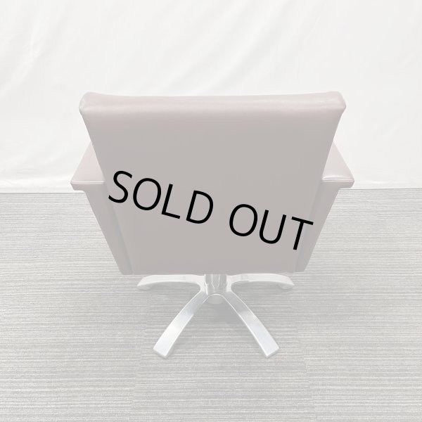 画像15: 【中古現状品】オオヒロ レオン【張替可能】  (15)