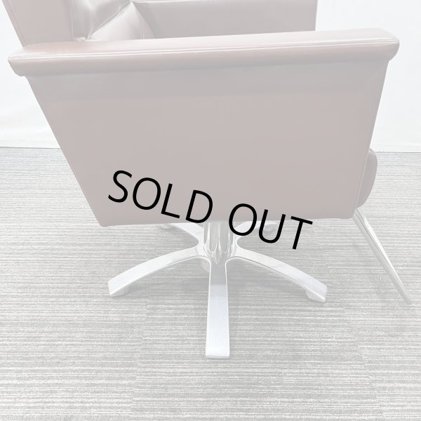 画像9: 【中古現状品】オオヒロ　レオン【張替可能】　 (9)