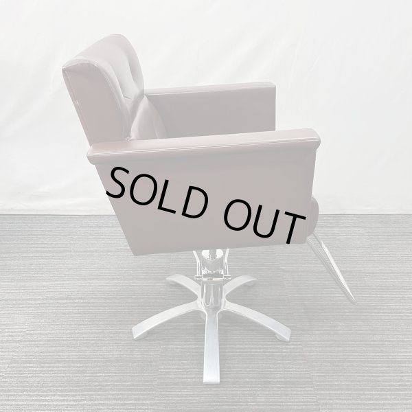 画像23: 【中古現状品】オオヒロ　レオン【張替可能】　 (23)