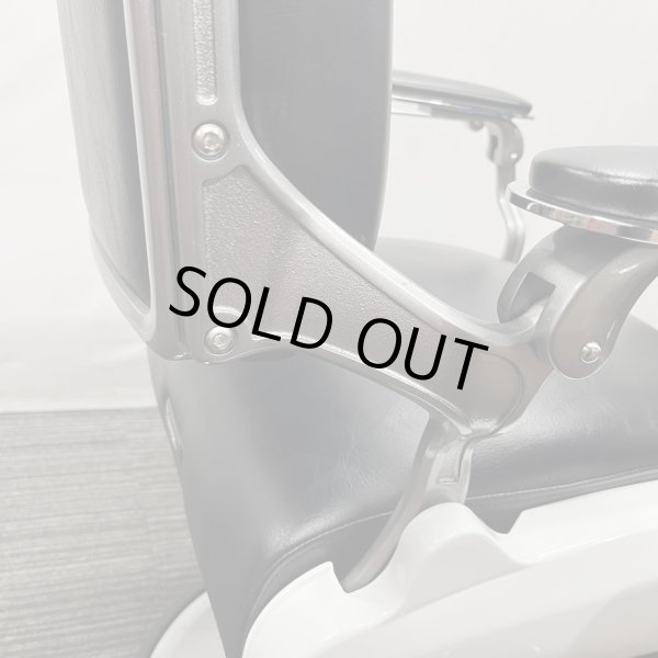 画像29: 【中古現状品】タカラ Classica(クラシカ) 90 E (電動ポンプ) (29)