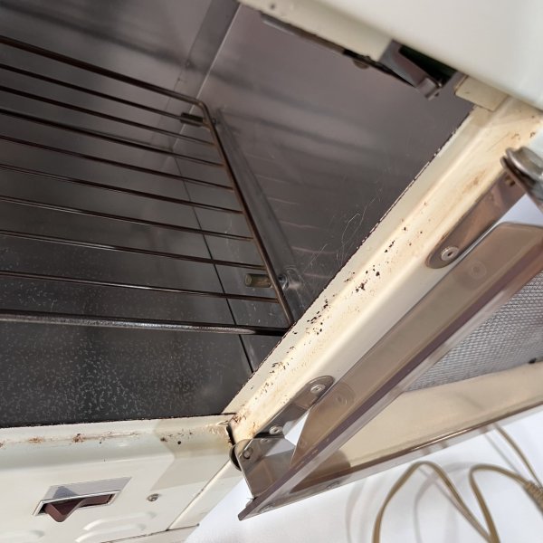 画像29: 【中古現状品】ヤスター 消毒器 　【西日本仕様・限定販売】 (29)