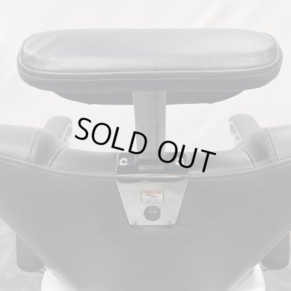 画像22: 【中古現状品】タカラ　BB-SPX 【張替・再生可能】 (22)