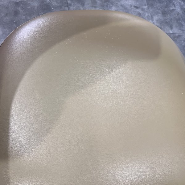 画像12: 【中古現状品】タカラ　Nagi（ナギ）【張替可能】 (12)