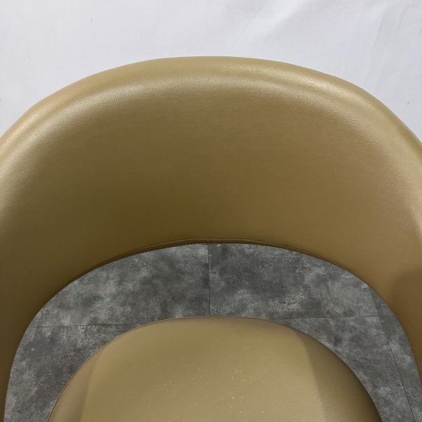 画像5: 【中古現状品】タカラ　Nagi（ナギ）【張替可能】 (5)